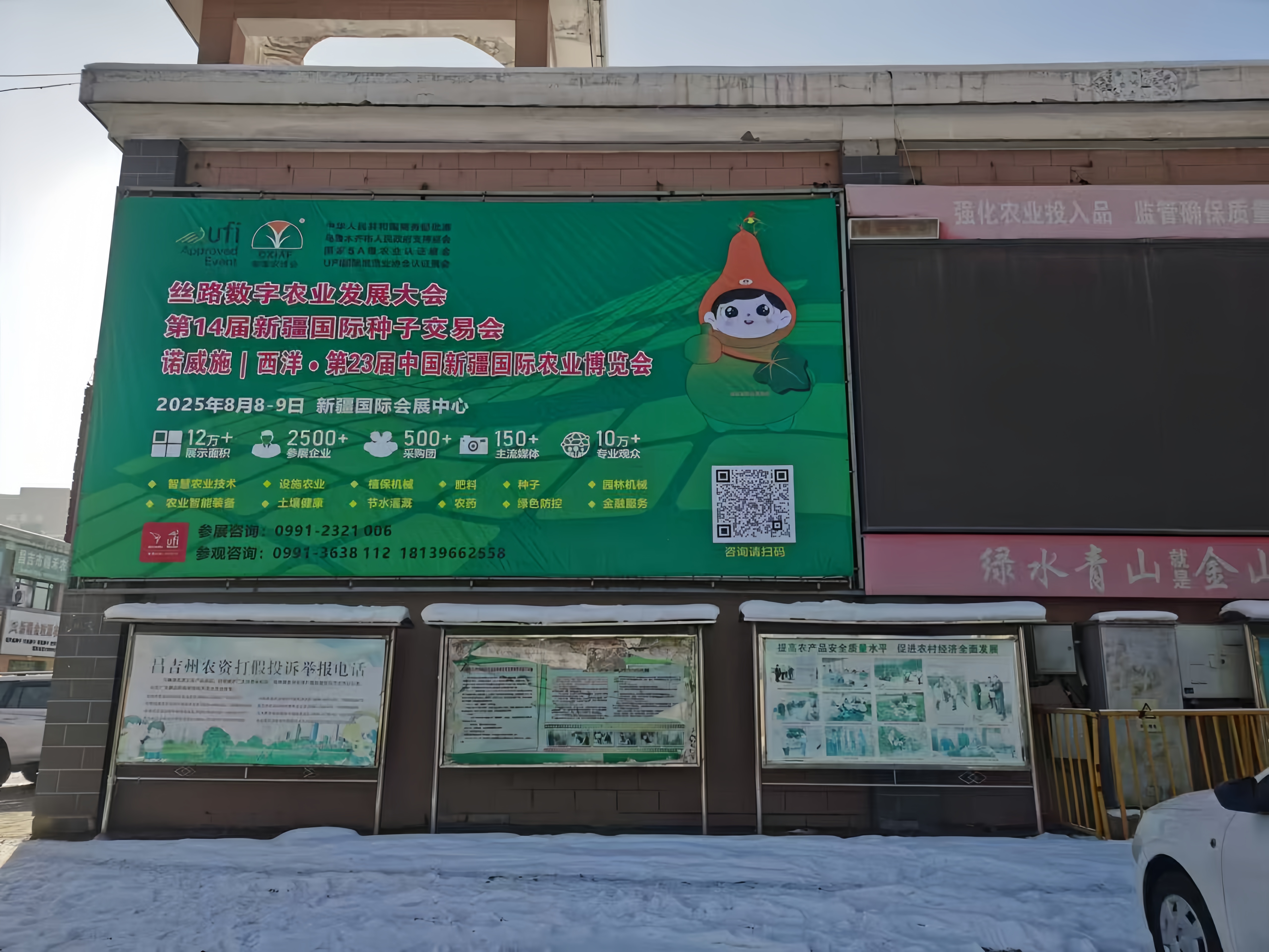昌吉全优种子市场.jpg